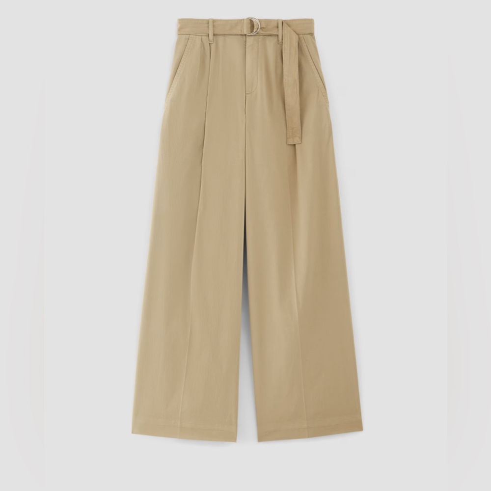 Everlane Wide-Leg Pleated Khakis with Belt sz 6